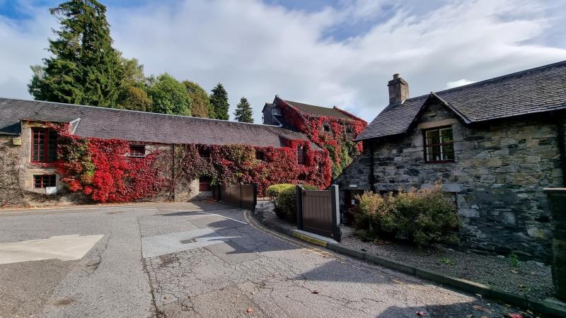 Blair-Athol-2022-0001