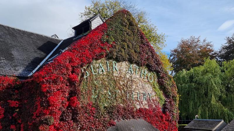 Blair-Athol-2022-0006