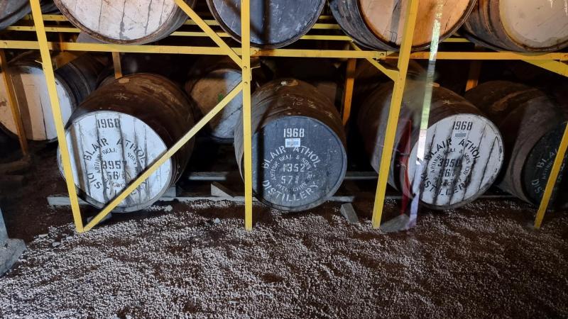 Blair-Athol-2022-0015