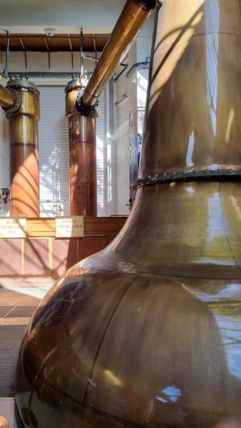 Blair-Athol-2022-hoch-0005