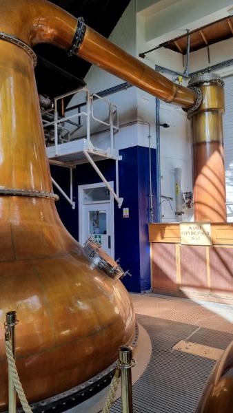 Blair-Athol-2022-hoch-0006