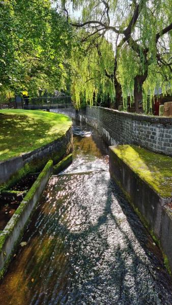 Blair-Athol-2022-hoch-0007