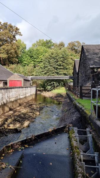 Blair-Athol-2022-hoch-0008