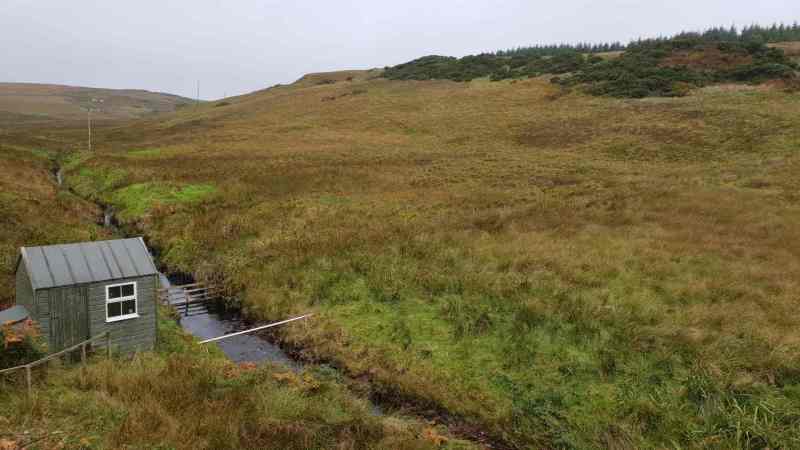 Octomore Spring