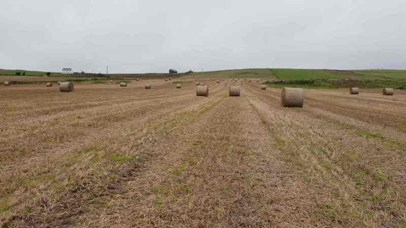Octomore Farm