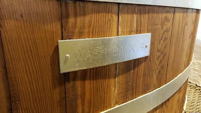 Washback 4