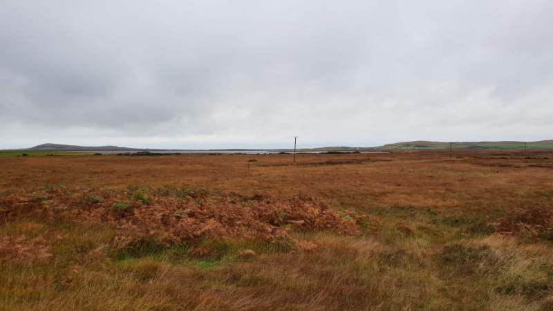 Das Torfmoor