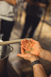 Bushmills_Craft-Story-2023_Impressionen-3