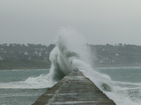 CW_sea-1