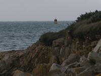 CW_sea