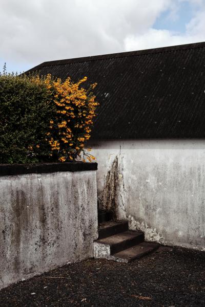 Fettercairn-16-Bild-von-Angus-MacKinnon-fuer-Whiskyexperts-2023