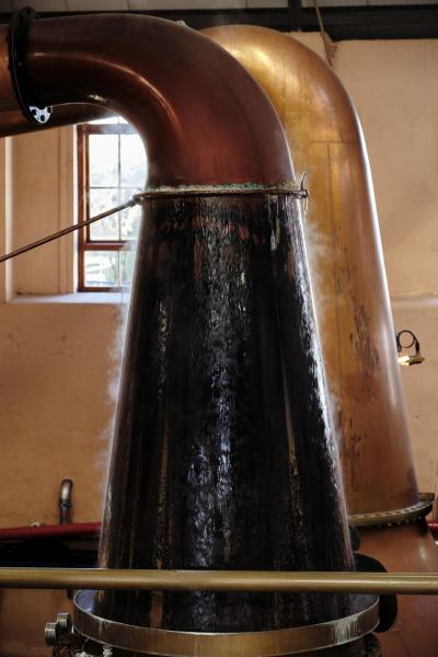 Fettercairn-44-Bild-von-Angus-MacKinnon-fuer-Whiskyexperts-2023