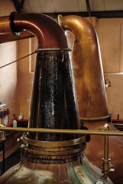 Fettercairn-54-Bild-von-Angus-MacKinnon-fuer-Whiskyexperts-2023