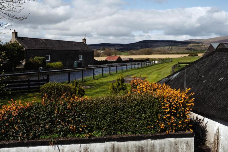 Fettercairn-58-Bild-von-Angus-MacKinnon-fuer-Whiskyexperts-2023