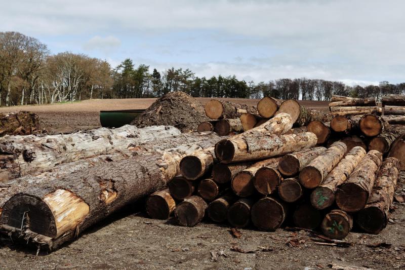 Fettercairn-61-Bild-von-Angus-MacKinnon-fuer-Whiskyexperts-2023