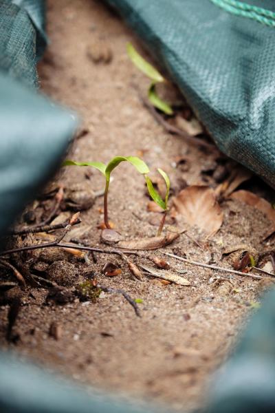 Fettercairn-65-Bild-von-Angus-MacKinnon-fuer-Whiskyexperts-2023