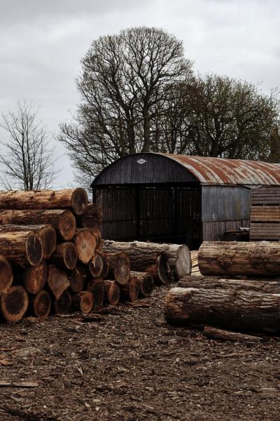 Fettercairn-66-Bild-von-Angus-MacKinnon-fuer-Whiskyexperts-2023