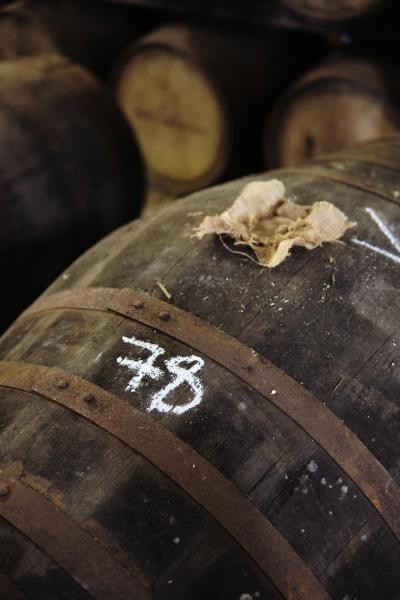 Fettercairn-70-Bild-von-Angus-MacKinnon-fuer-Whiskyexperts-2023