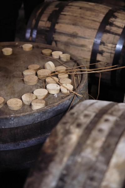 Fettercairn-74-Bild-von-Angus-MacKinnon-fuer-Whiskyexperts-2023