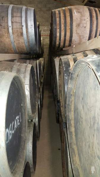 glenallachie2018h_05