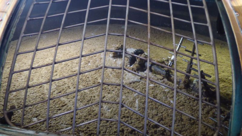 Glendronach-Jochen-Wied-012