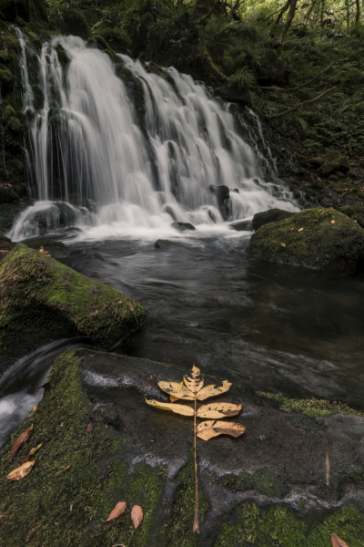 japan-travels-02