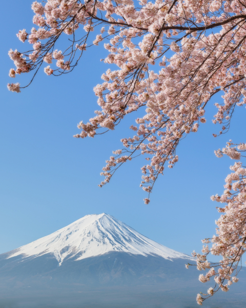 japan-travels-03