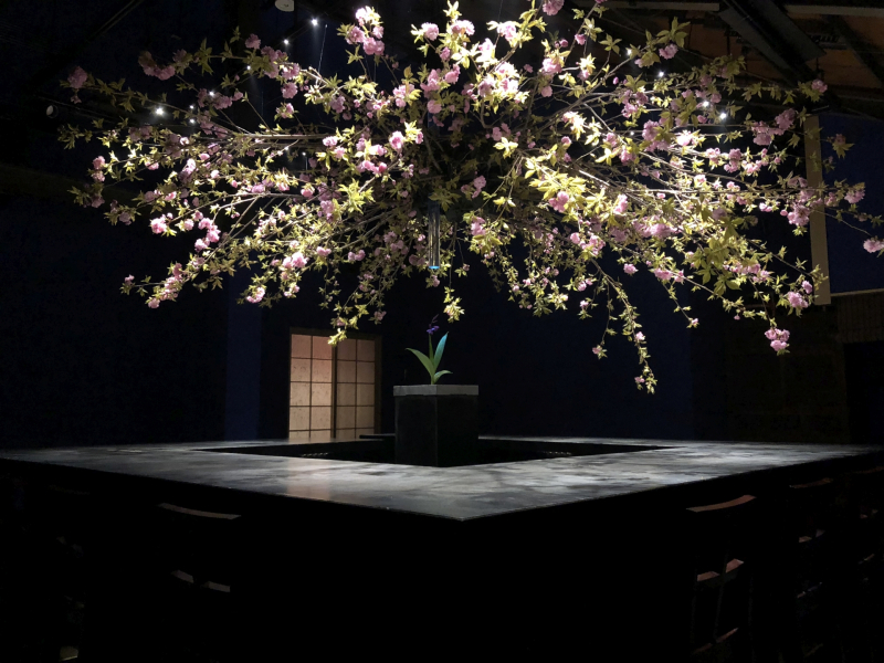 japan-travels-14