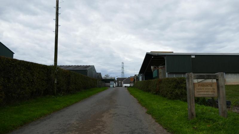 P1000091