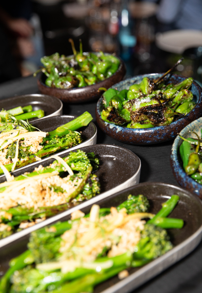 Ammersin-im-Beef-Glory-72