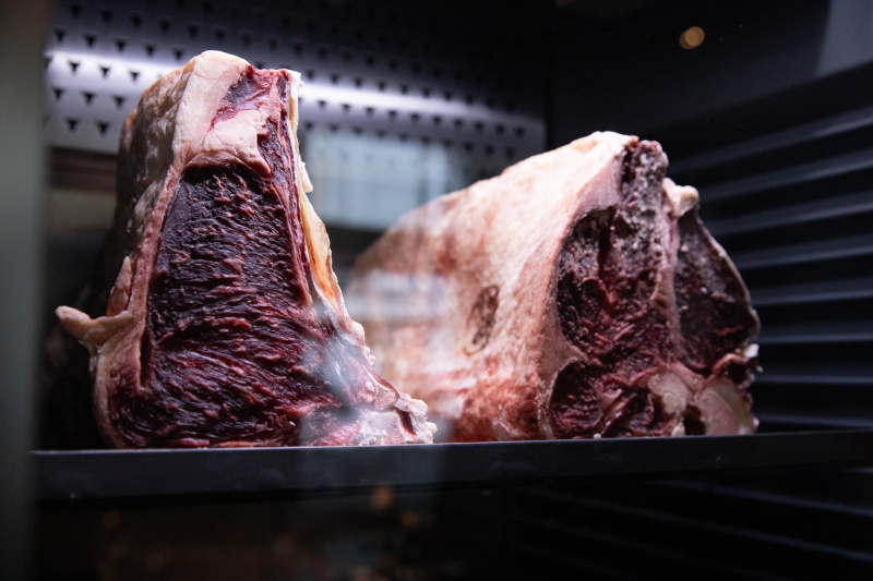 Ammersin-im-Beef-Glory-79