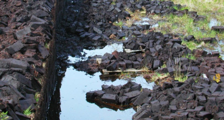 Beam Suntory verwirklicht um 3 Millionen Pfund Projekt zur Re-Naturalisierung der Torfgebiete