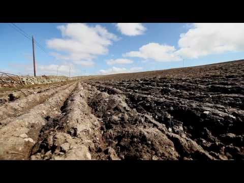 Bruichladdich: Ein neus Video