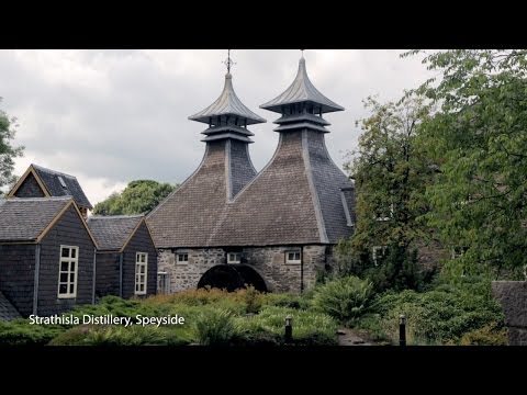 Video: From grain to glass – producing Scotch whisky