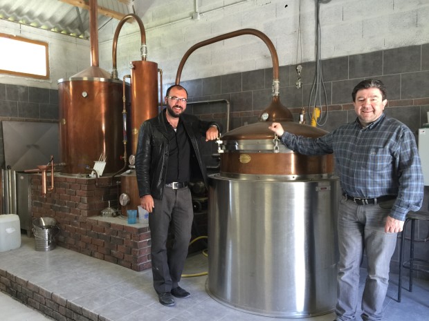 Whiskygospel: Besuch bei der Golan Heights Distillery (Israel)