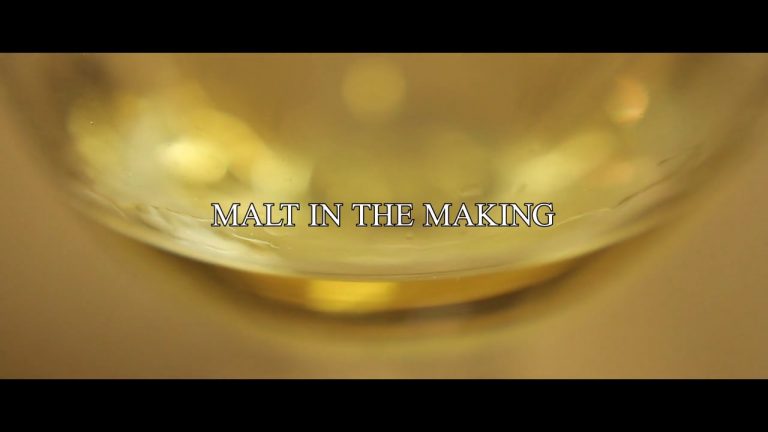 Video: Malt in the Making – der Texel Whisky