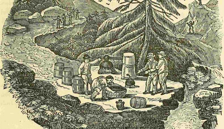 Alte Schwarzbrenner-Hütte in der Region Moray gefunden