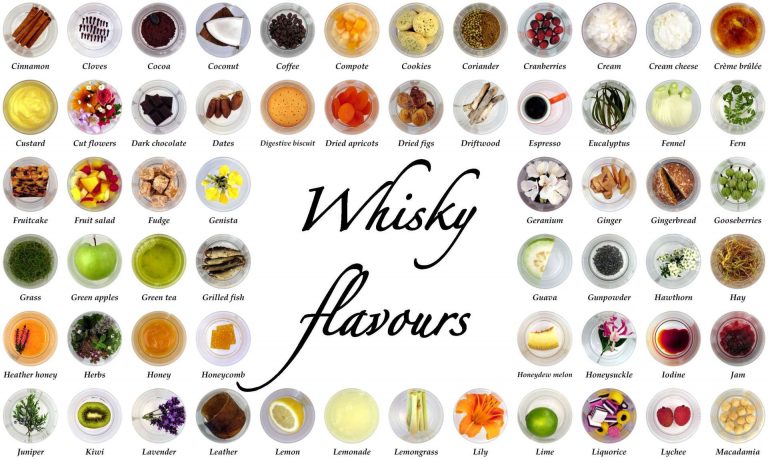 Kickstarter: Whisky Flavour Poster, Wheel und Postkarten