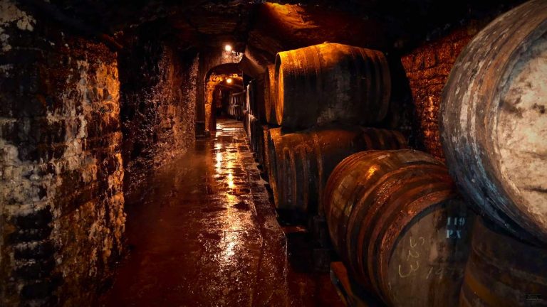 Video: Mit dem Whiskybabbler im Keller von Michel Couvreur