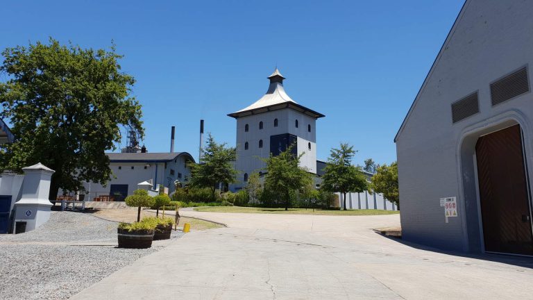 Daily Maverick: Ausführlicher Bericht über die James Sedgwick Distillery in Südafrika