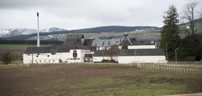 Fettercairn pflanzt 13.000 schottische Eichen-Setzlinge für zukünftige Whiskys