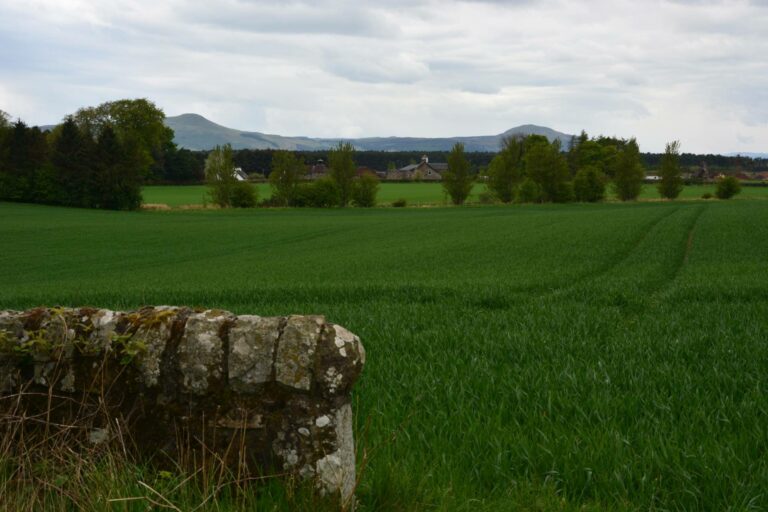 Fife möchte schottische Whisky-Region werden