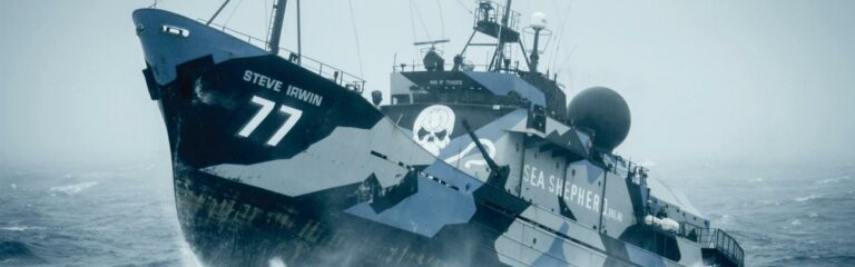 Meilenstein der Meere: Kirsch Import generiert eine Viertelmillion Euro für Sea Shepherd