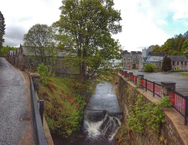 Serge verkostet: Dailuaine, Teil 2