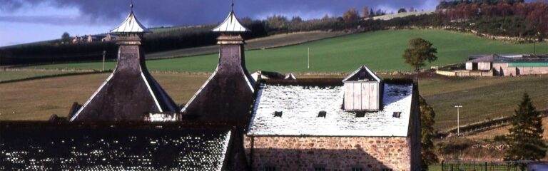 Serge verkostet: Glentauchers, fünfter und zugleich letzter Teil