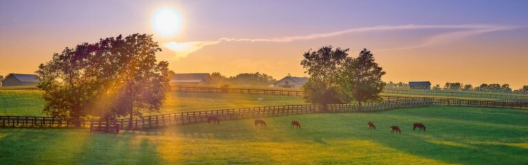SMWS Veranstaltungen im Juni: Whisky unter freiem Himmel und andere kulinarische Tastings