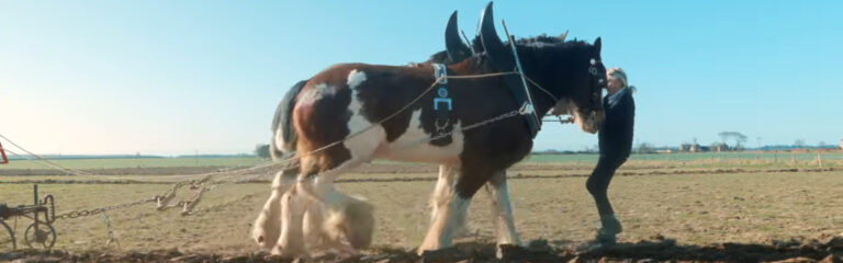 Living Souls eröffnet Drummygar Distillery