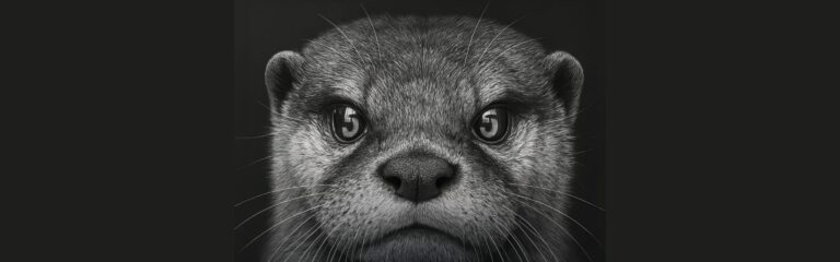 Finale von „Cheers to 5 Years“: Whiskyfass.de beendet Jubiläumsfeierlichkeiten mit exklusivem Mackmyra Single Cask