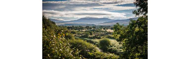 Diageo investiert in die Renaturierung schottischer Moore