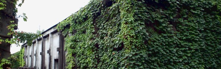 Serge verkostet: Einundzwanzig Karuizawa